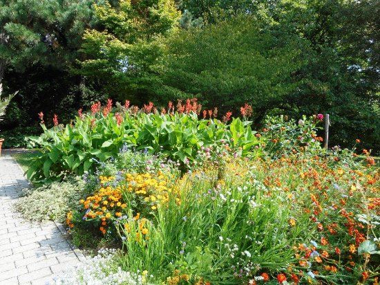 Botanischer Garten Halle